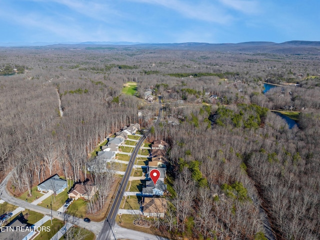 birds eye view of property with a mountain view