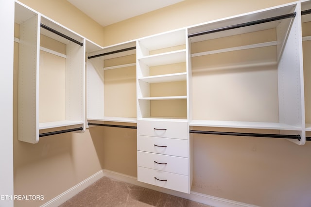 spacious closet with light colored carpet