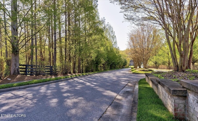 view of street with curbs