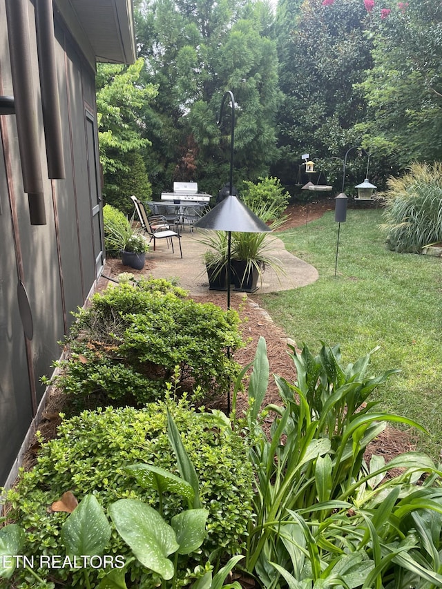 view of yard featuring a patio area