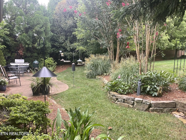 view of yard featuring a patio area