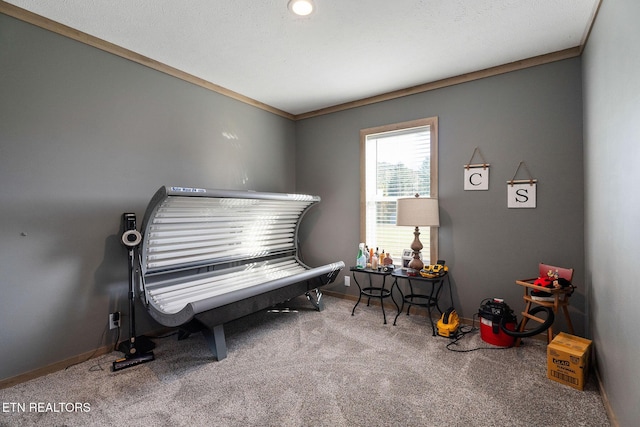 miscellaneous room featuring carpet flooring