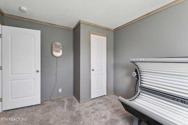 miscellaneous room featuring crown molding, light carpet, and a textured ceiling