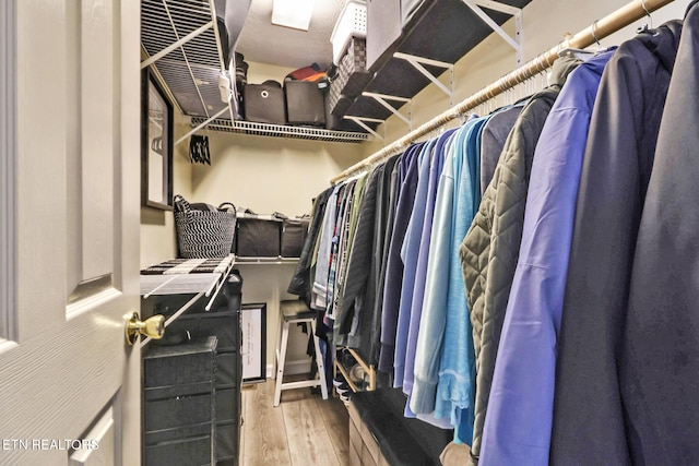 walk in closet with wood-type flooring