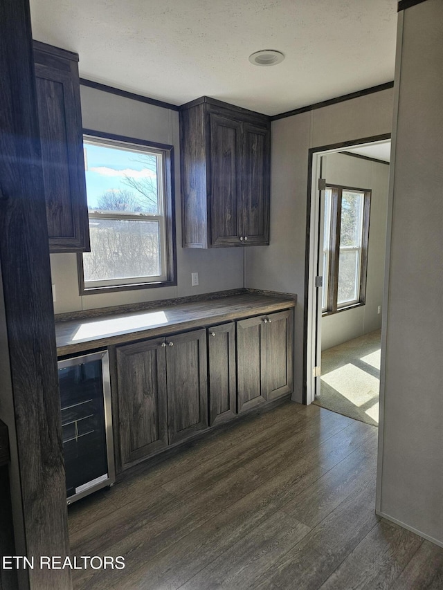 kitchen with dark brown cabinets, beverage cooler, and dark hardwood / wood-style flooring