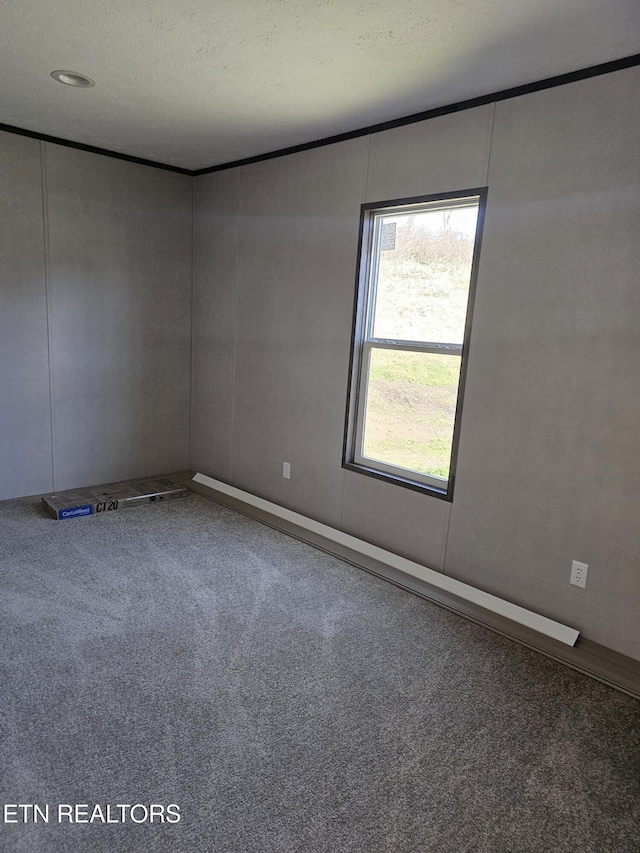 unfurnished room with carpet flooring and a textured ceiling