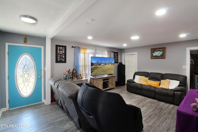 living room featuring hardwood / wood-style flooring