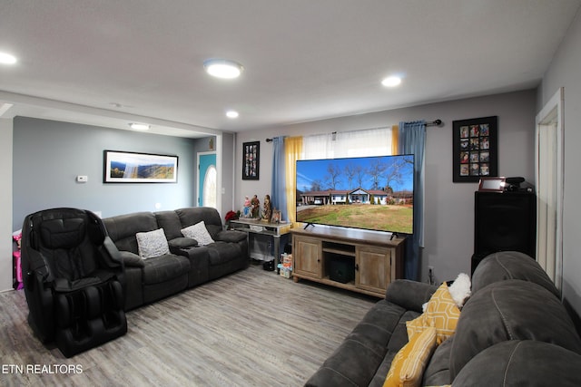 living room with hardwood / wood-style flooring