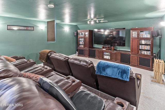 cinema with baseboards