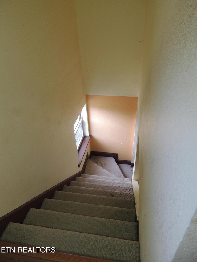 stairway featuring carpet flooring