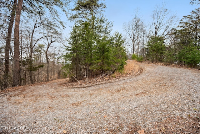 view of local wilderness