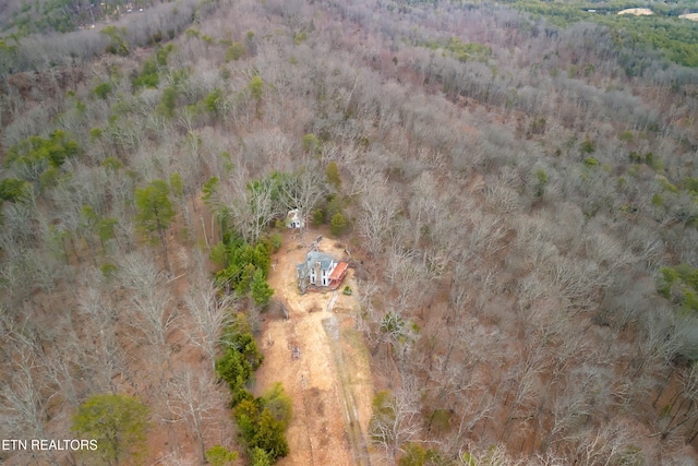 bird's eye view with a forest view