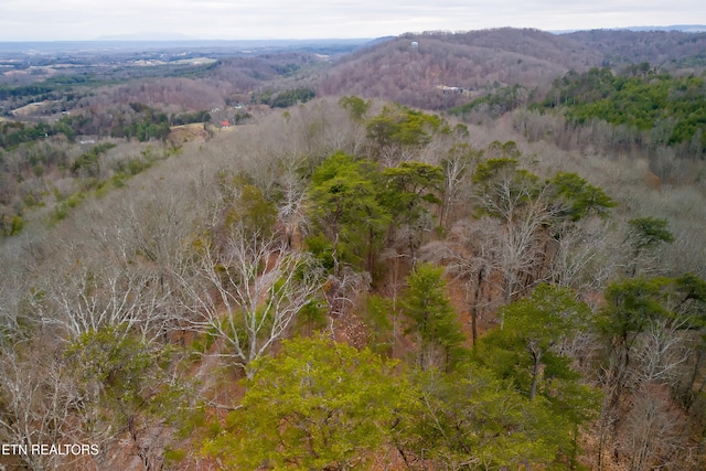 drone / aerial view featuring a forest view and a mountain view