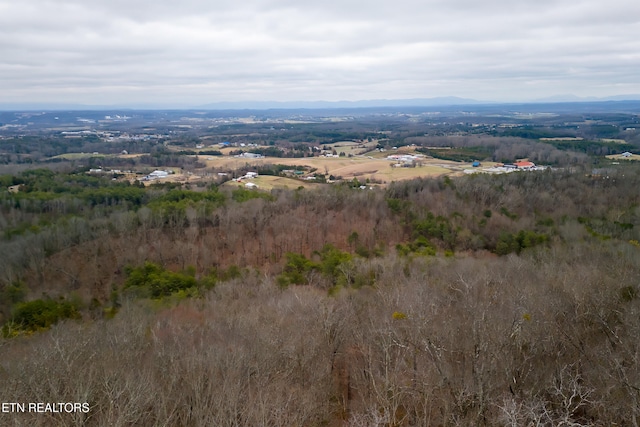 bird's eye view