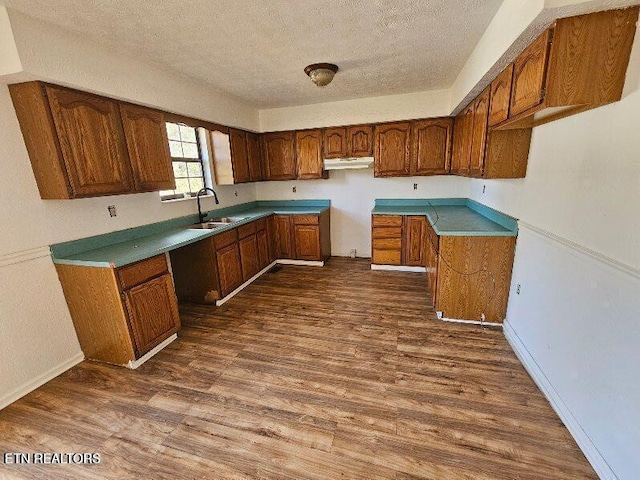 kitchen with dark hardwood / wood-style flooring, sink, and a textured ceiling