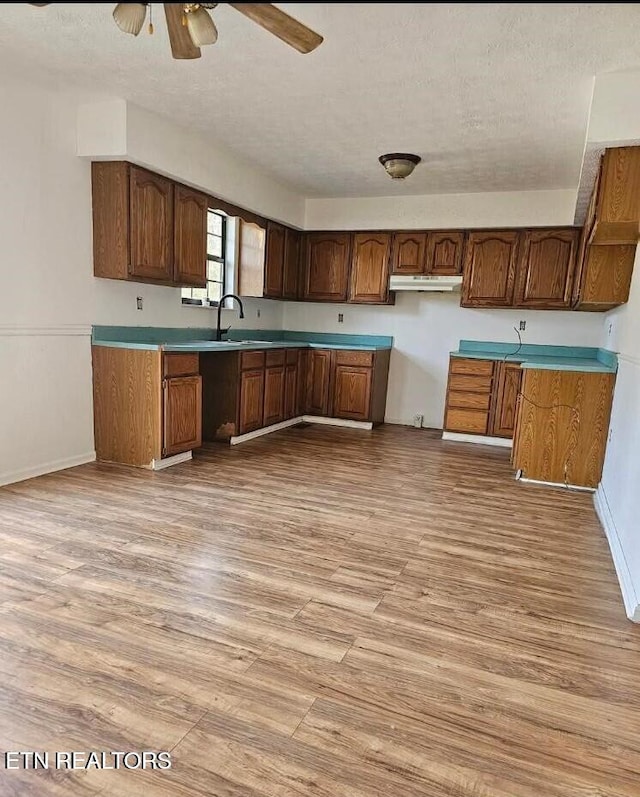 kitchen featuring sink, light hardwood / wood-style floors, a textured ceiling, and ceiling fan