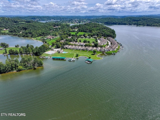 3413 Commodore Pt, Knoxville, TN 37922 - aerial view of a nearby body of water and a forest