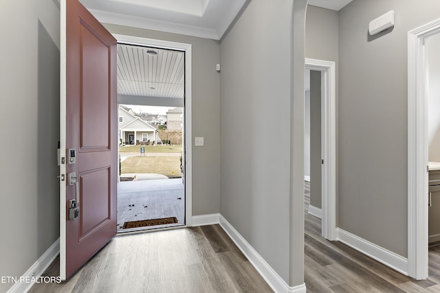 entryway featuring hardwood / wood-style flooring