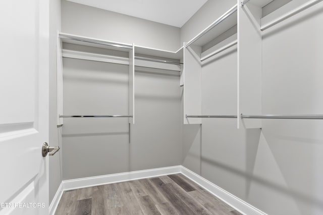 walk in closet featuring hardwood / wood-style flooring