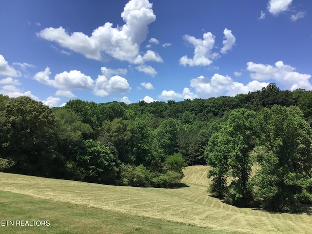 view of landscape featuring a forest view