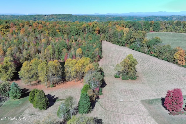 birds eye view of property with a wooded view and a mountain view