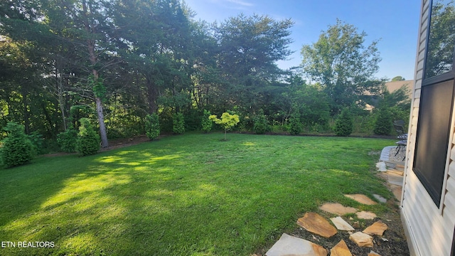 view of green lawn