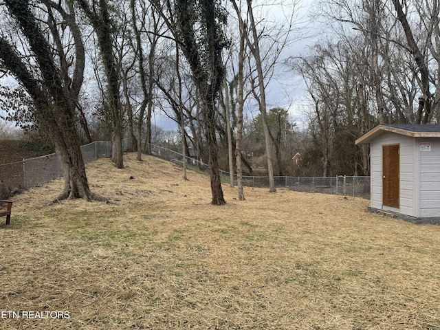 view of yard featuring a shed