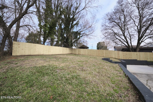 view of yard with a patio area