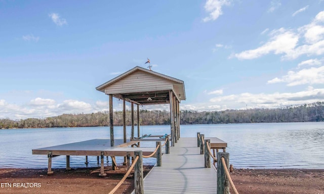 143 Saligugi Way, Loudon, TN 37774 - photo 4