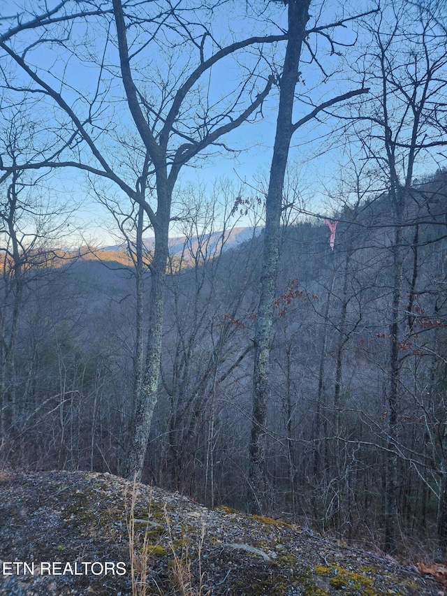 Listing photo 2 for Overholt Trl Unit B, Sevierville TN 37862