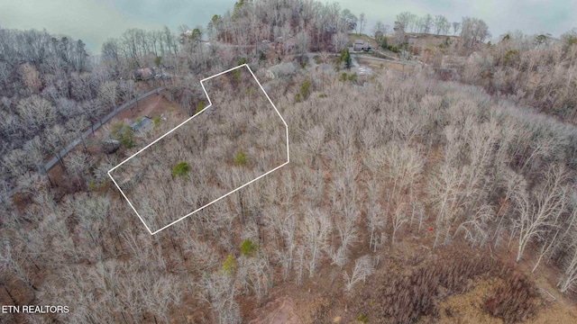 Listing photo 2 for Eagle Point Dr, Rockwood TN 37854