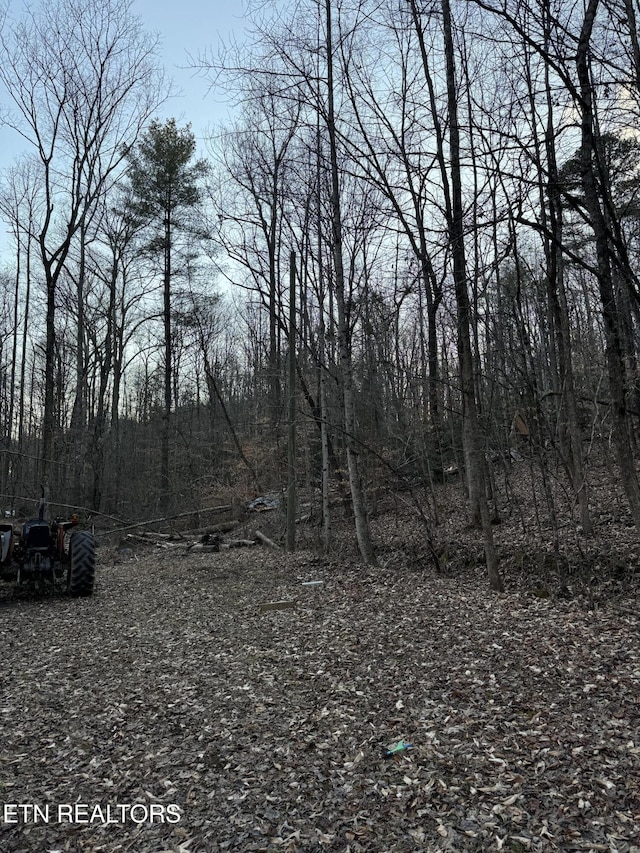 view of local wilderness