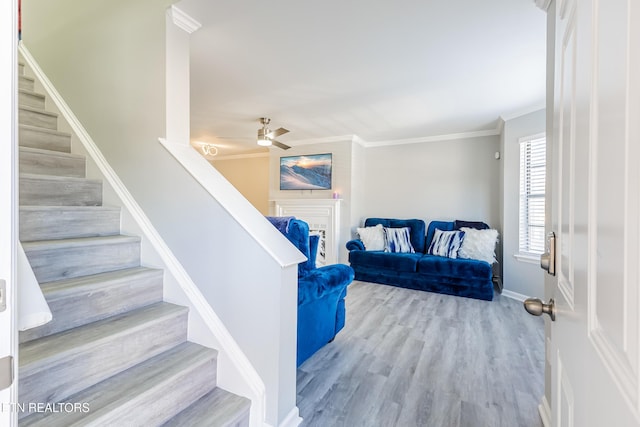 living room featuring crown molding, ceiling fan, and light wood-type flooring