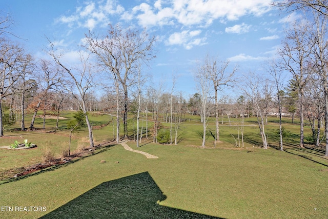 view of yard with a rural view