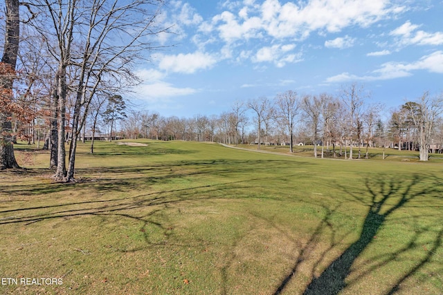 view of home's community with a lawn