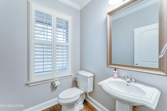 bathroom featuring toilet, a wealth of natural light, crown molding, and a sink