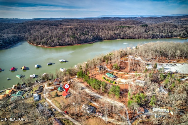 drone / aerial view featuring a water view