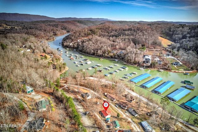 birds eye view of property featuring a water and mountain view