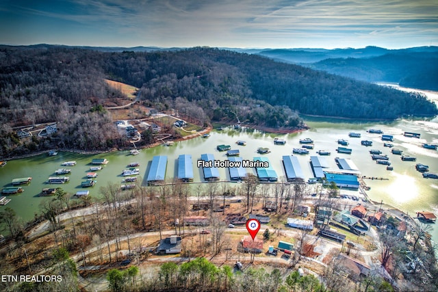 drone / aerial view with a water view