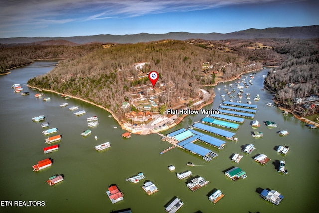 aerial view with a water and mountain view