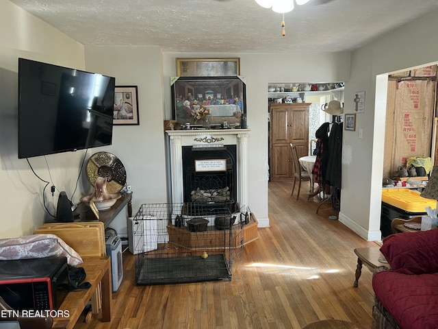 living room featuring hardwood / wood-style flooring and a textured ceiling