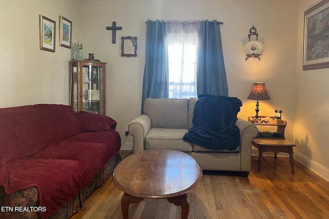 living room with baseboards and wood-type flooring