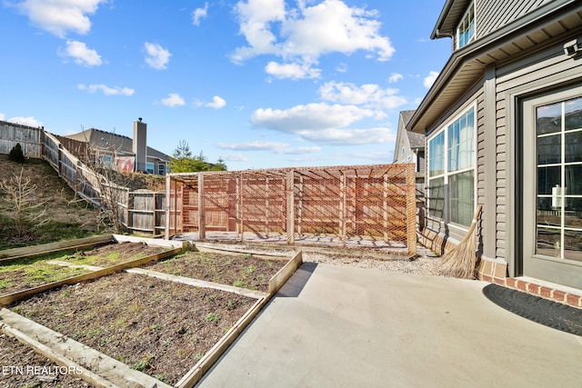 view of yard featuring a patio area