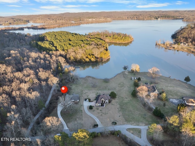 drone / aerial view with a water view