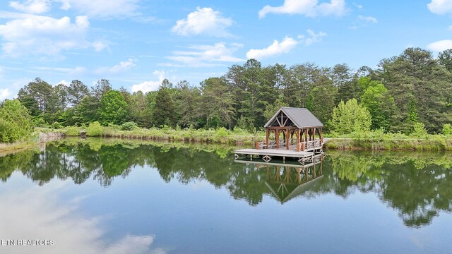 650 Enclave Pt, Kingston, TN 37763 - photo 44