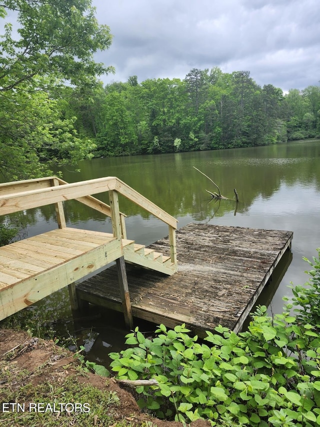 108 Lakeside Dr, Harriman, TN 37748 - photo 35