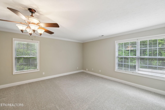 150 Glassboro Dr, Oak Ridge, TN 37830 - photo 28