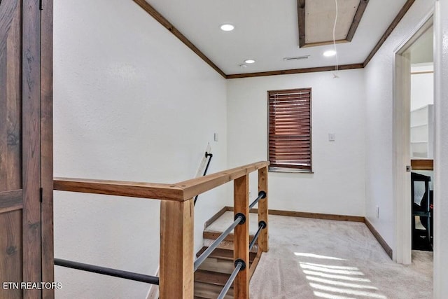 stairs featuring crown molding and carpet flooring