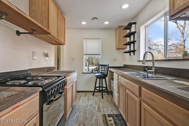 kitchen featuring sink, black range with electric cooktop, and light wood-type flooring