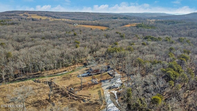 aerial view featuring a mountain view